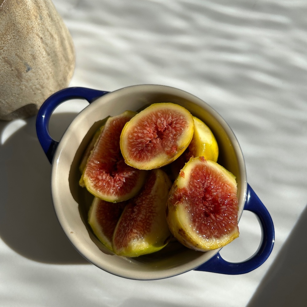 Meet your Posher, Madeleine